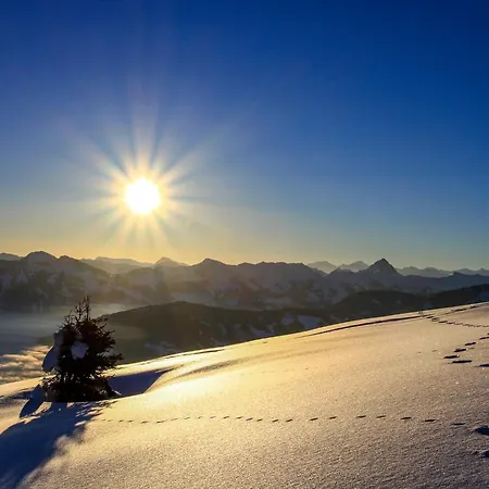 Weissbacher By Interhome * Oberau